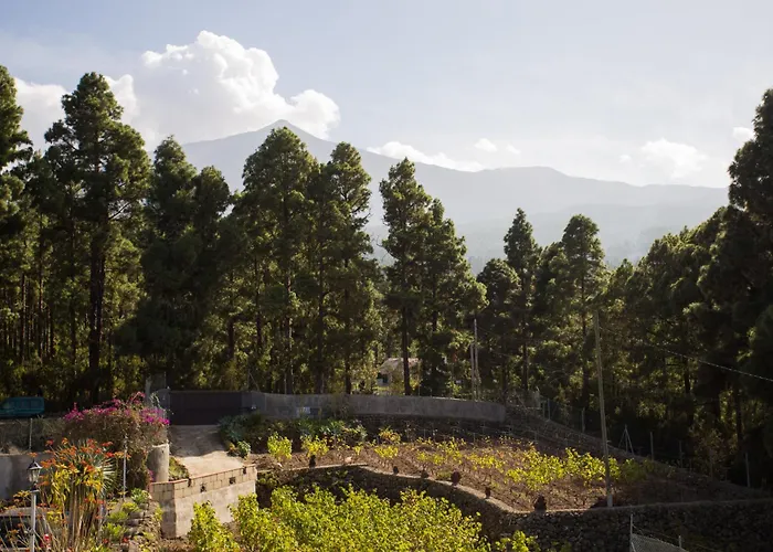 Casa Yaya Icod De Los Vinos