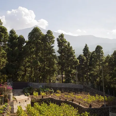Casa Yaya Icod De Los Vinos